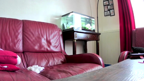 Mysslolie  03-07-2022